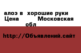 алоэ в “хорошие руки“ › Цена ­ 100 - Московская обл.  »    